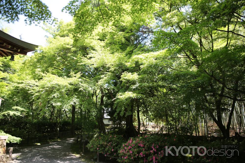 地蔵院 (竹の寺)16