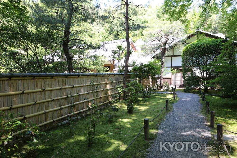 地蔵院 (竹の寺)19