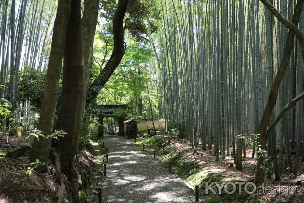 地蔵院 (竹の寺)27