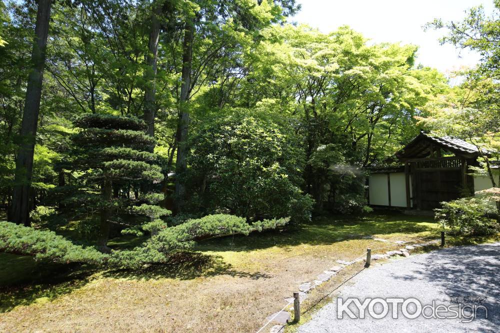 西方寺 (苔寺)12