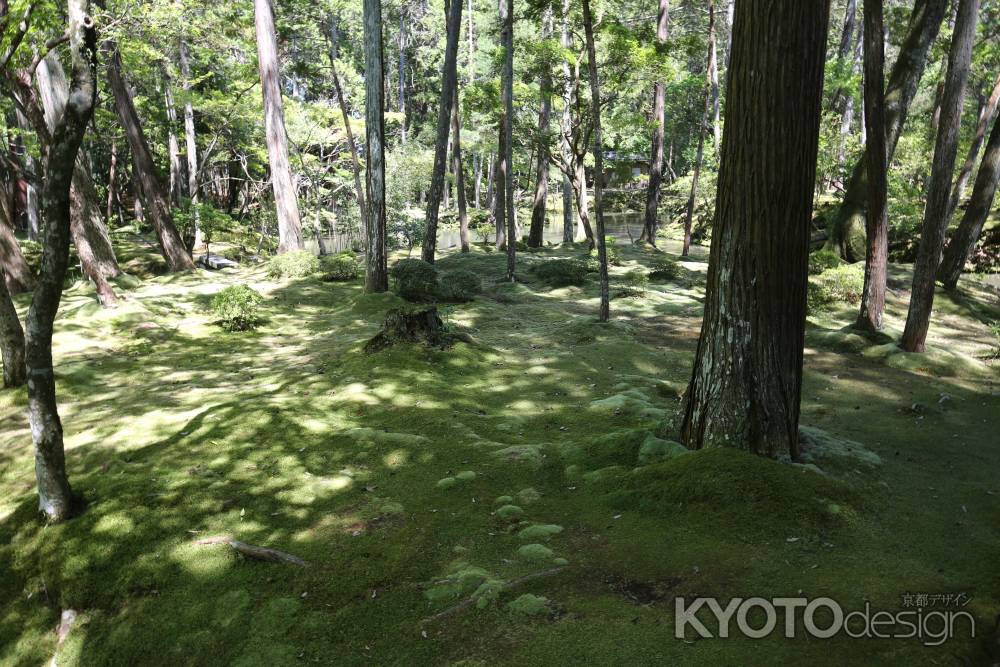 西方寺 (苔寺)16