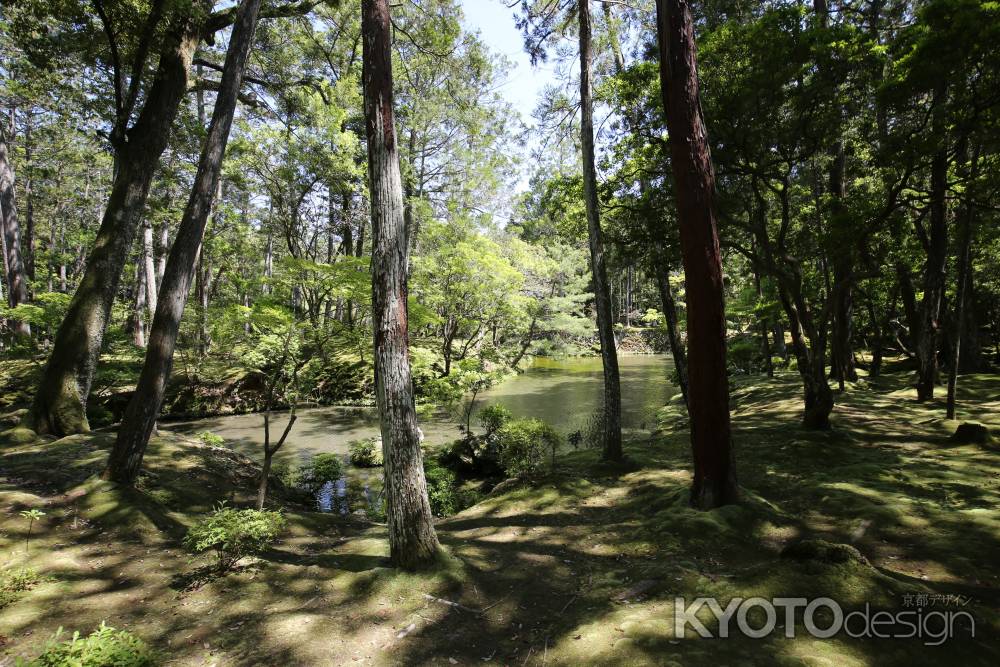 西方寺 (苔寺)18