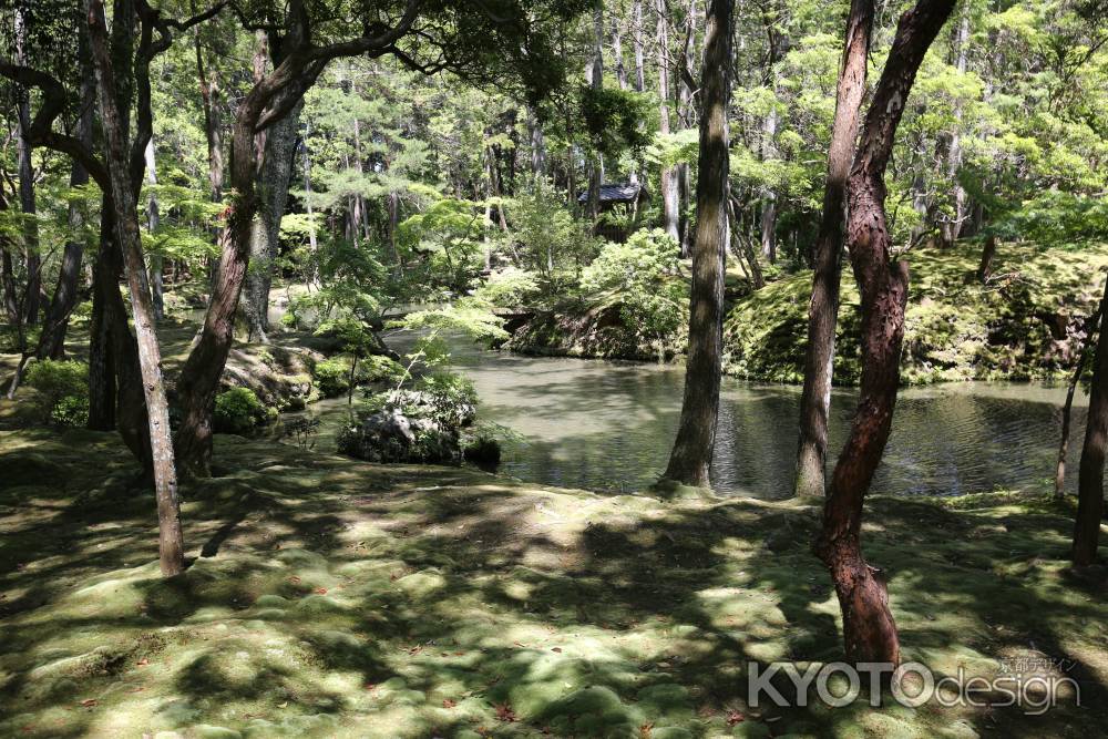 西方寺 (苔寺)20