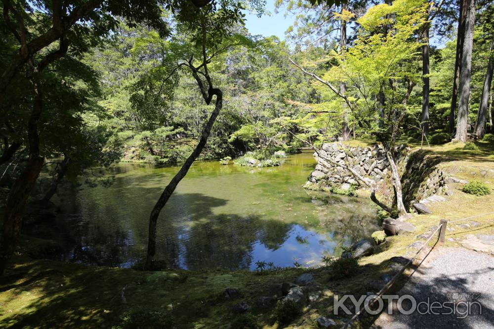 西方寺 (苔寺)26