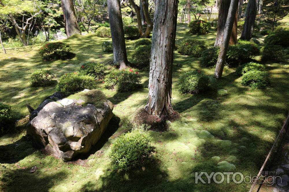 西方寺 (苔寺)27