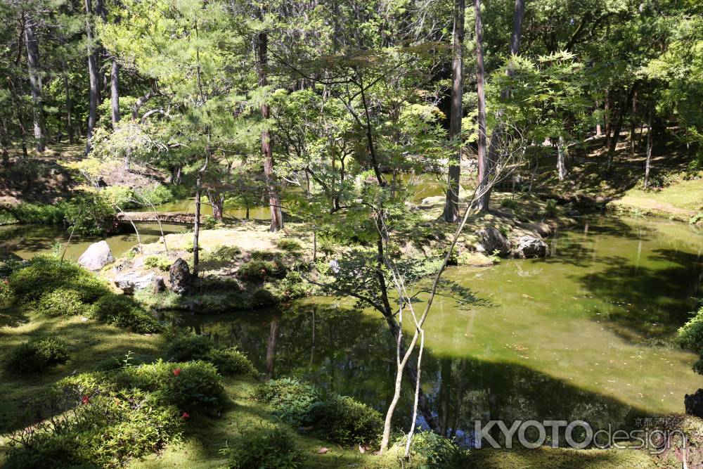 西方寺(苔寺)28