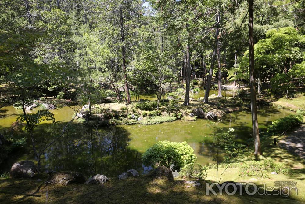 西方寺(苔寺)29