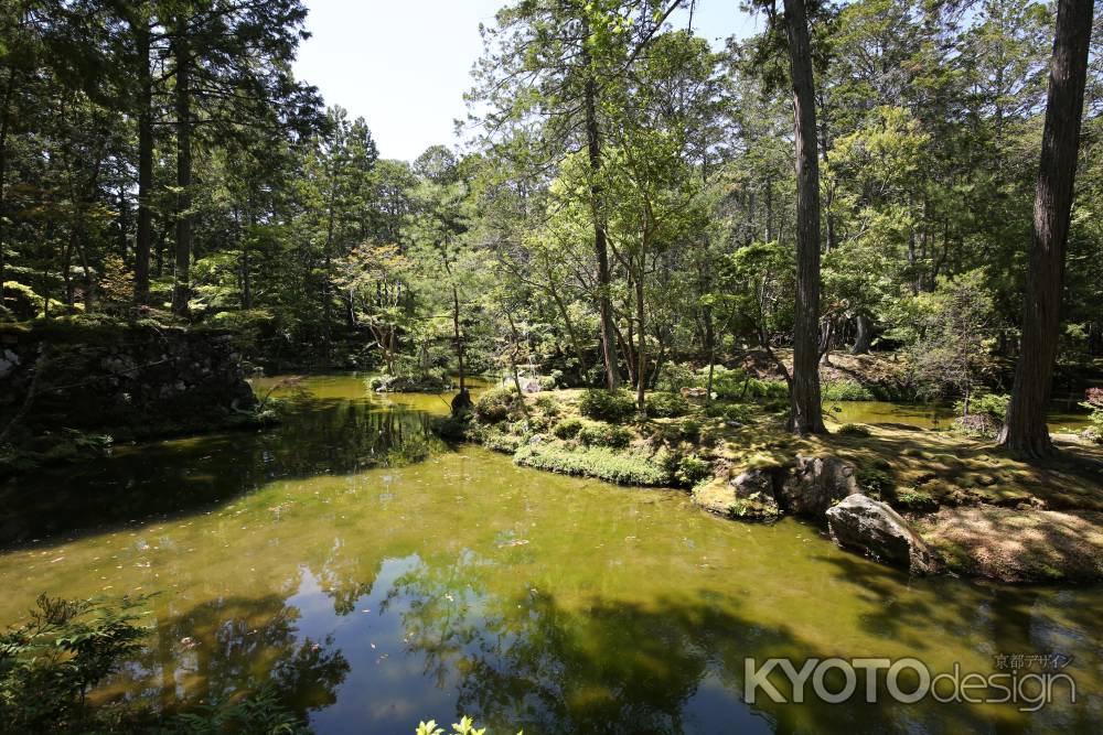 西方寺 (苔寺)30