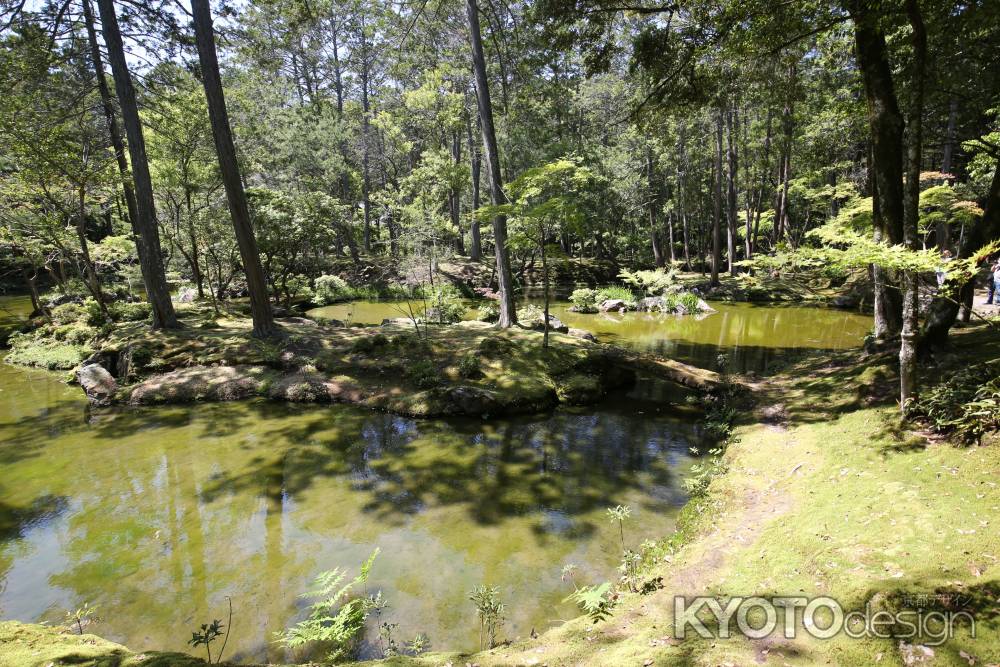 西方寺 (苔寺)32