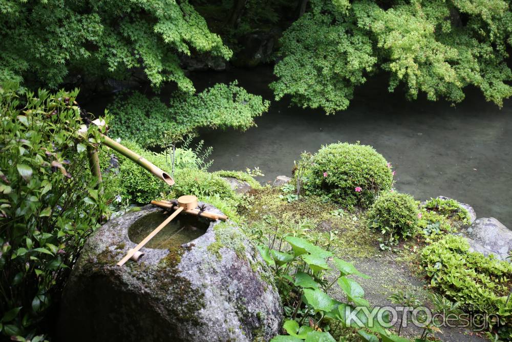 蓮華寺11