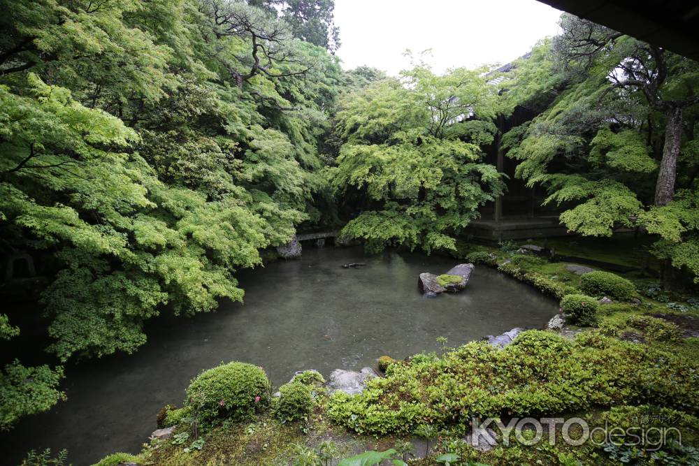 蓮華寺12