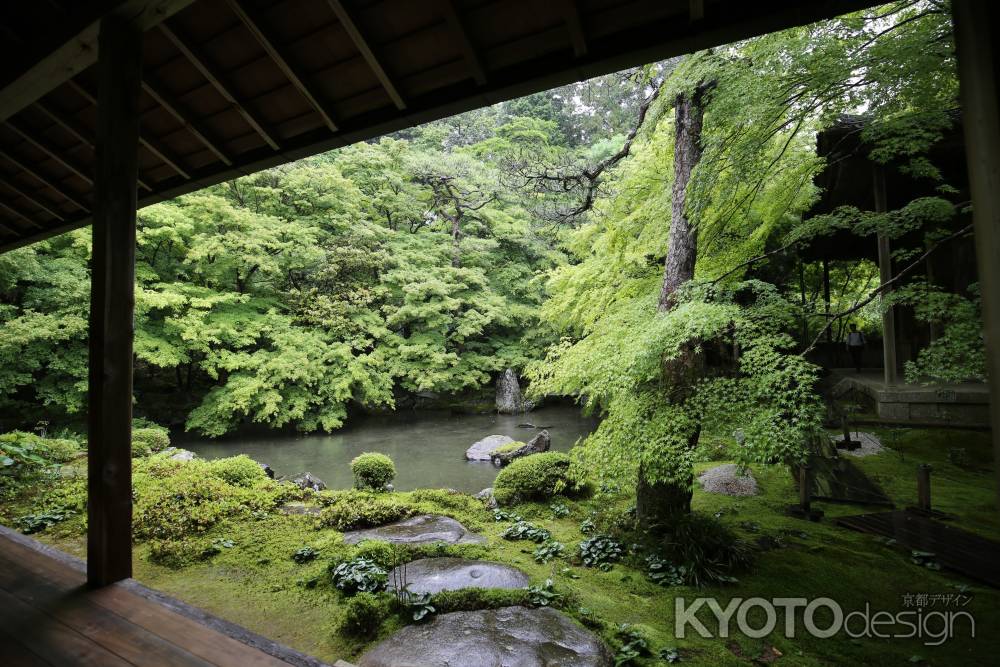 蓮華寺19