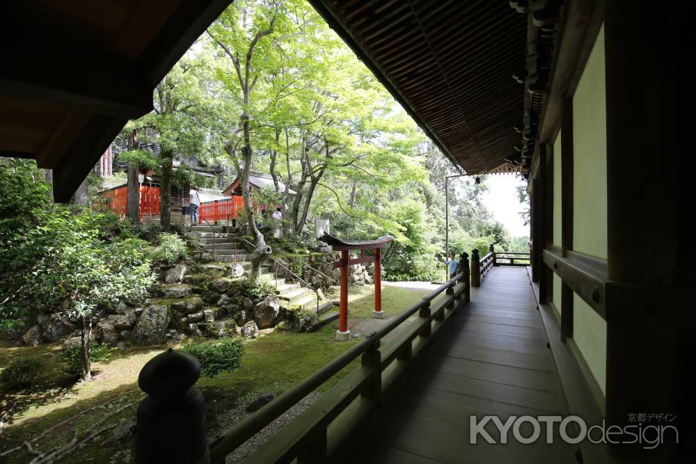 楊谷寺(柳谷観音) 奥の院裏