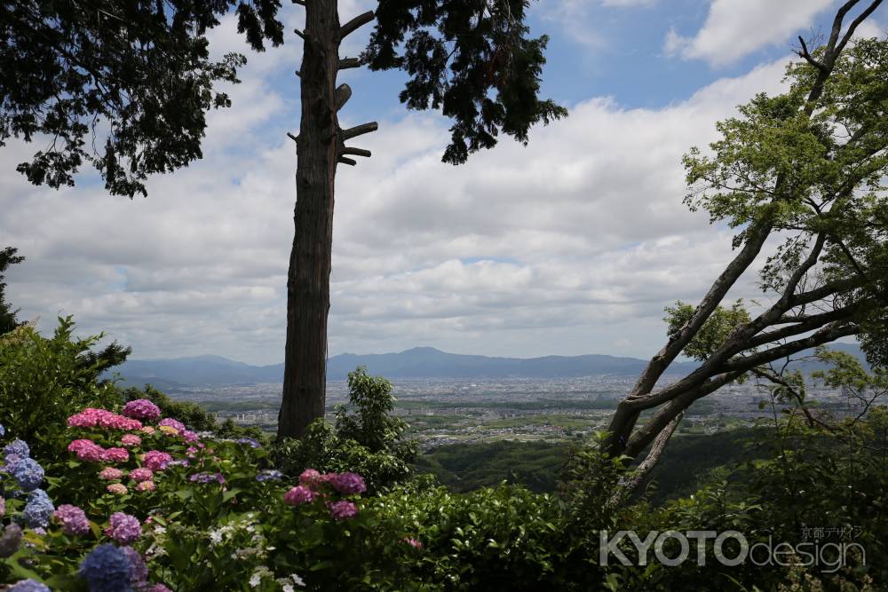 善峯寺　洛中を望む