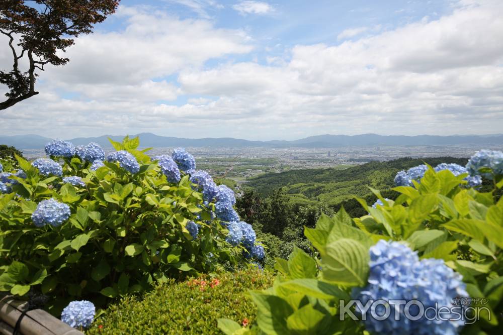 善峯寺　紫陽花からの眺め