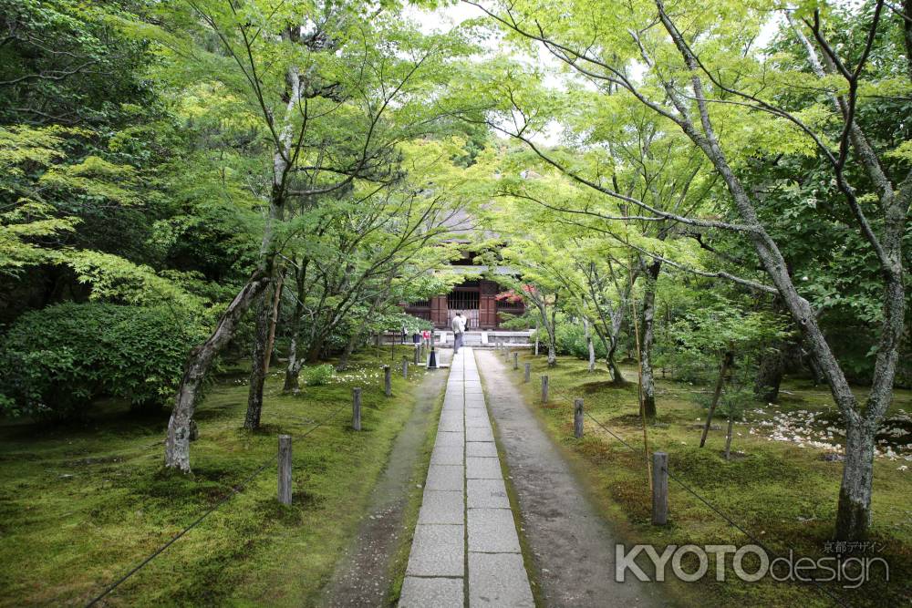 酬恩庵一休寺　本堂への参道