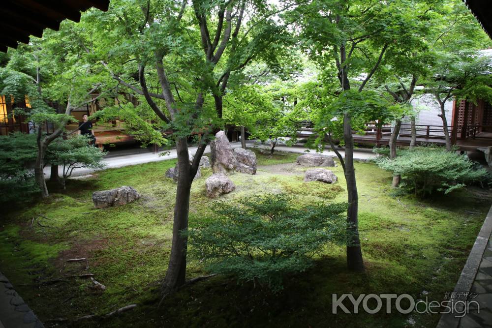 建仁寺　初夏の庭