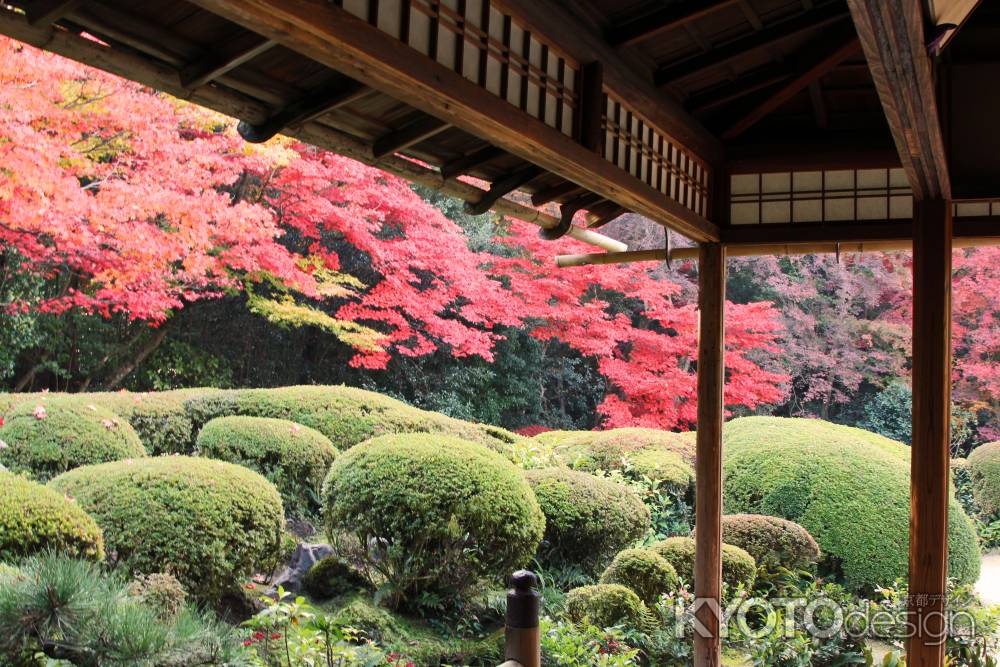 秋の詩仙堂　紅葉の庭