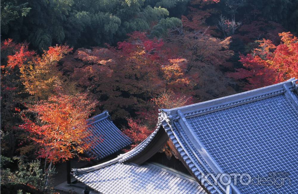 圓光寺　屋根と紅葉