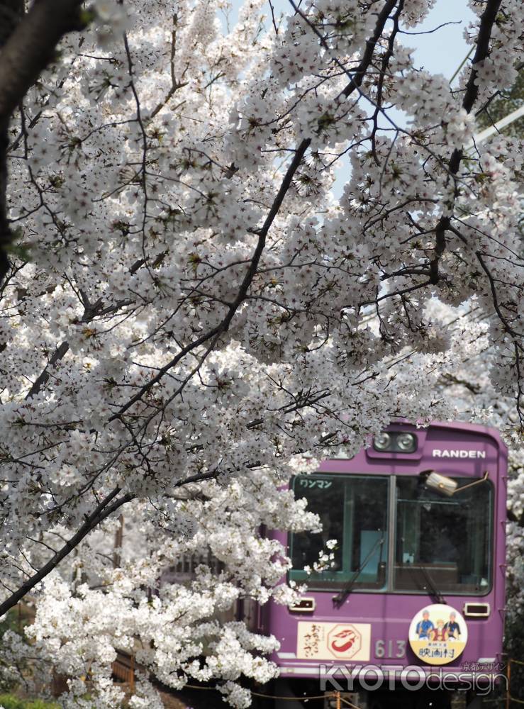 嵐電　桜のトンネル