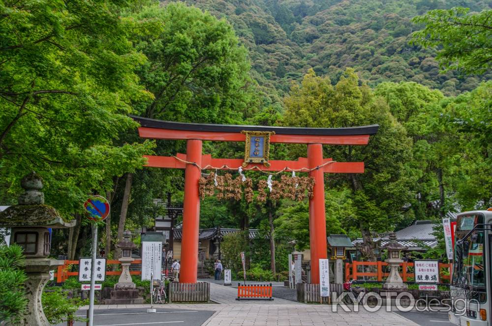 松尾大社の鳥居