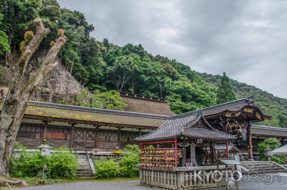 松尾大社と松尾山