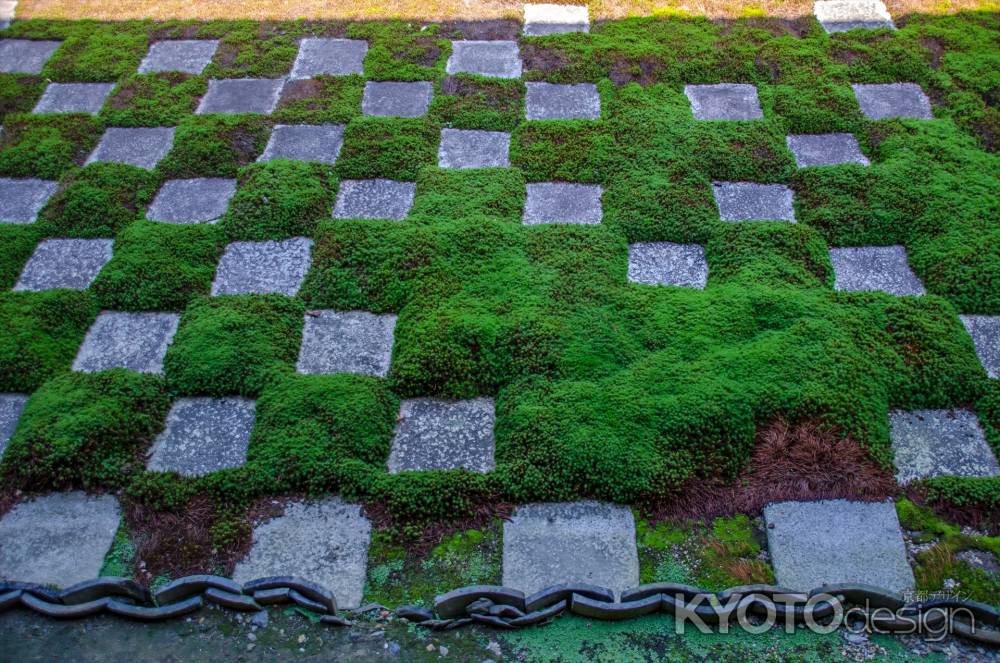 東福寺方丈の北庭に寄って見る