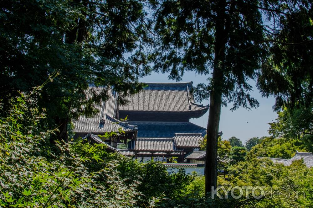 東福寺開山堂から、本堂を見ながら通天橋を戻る