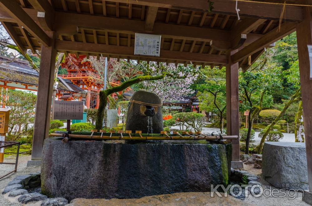 上賀茂神社の手水舎