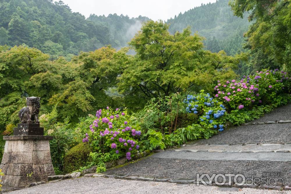 雨の善峯寺、釈迦堂エリアから薬師寺エリアに向かう