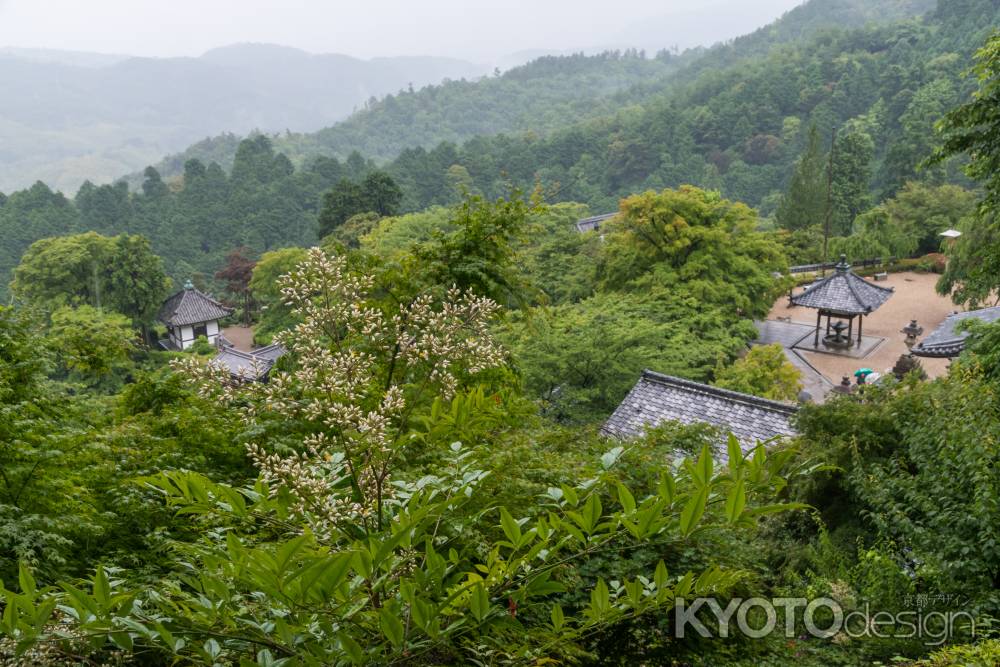 雨の善峯寺、釈迦堂、護摩堂を見下ろす