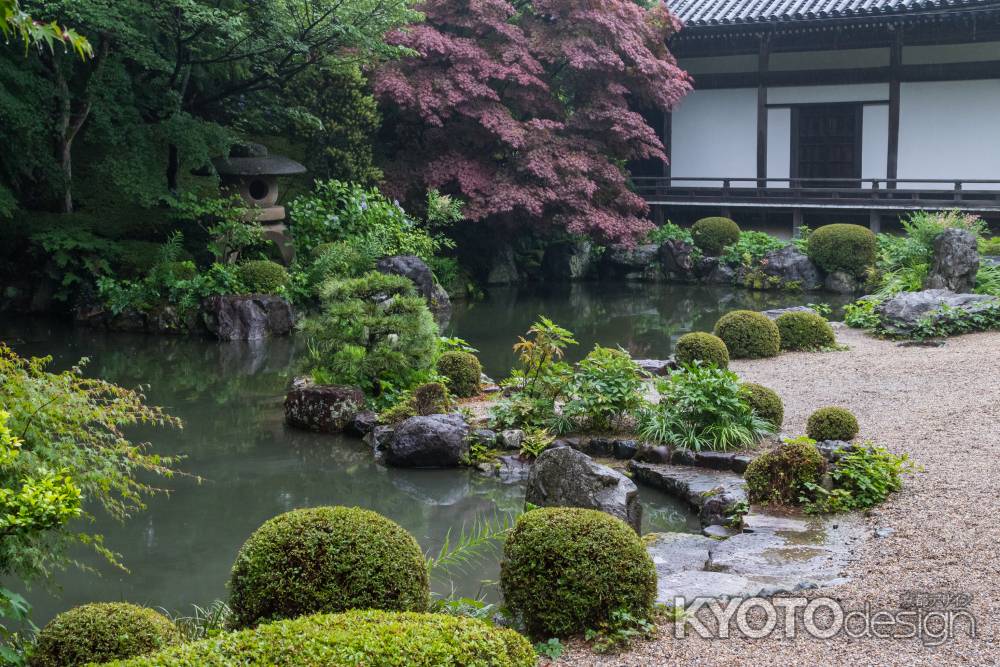 雨の善峯寺、薬師堂裏手の庭を見渡す