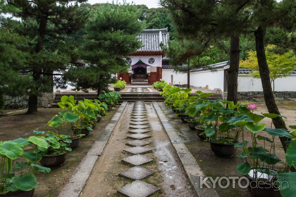 萬福寺、開山堂への参道