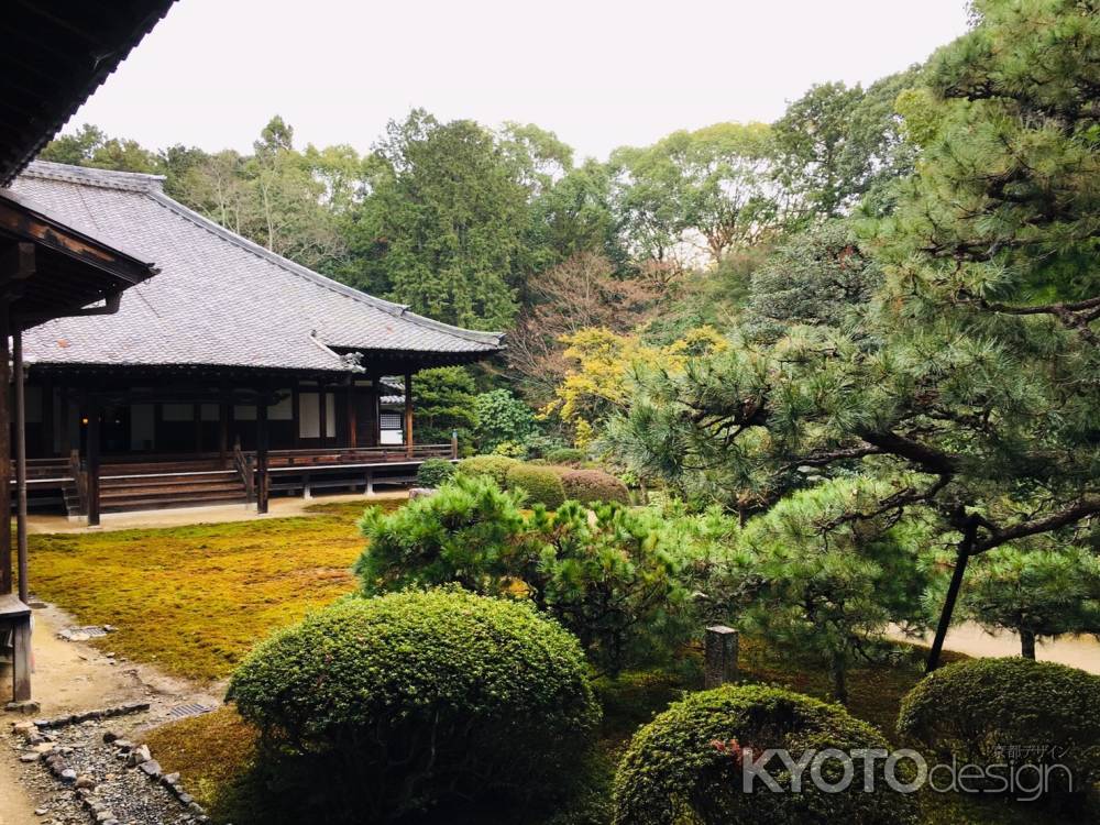 随心院　庭園の緑