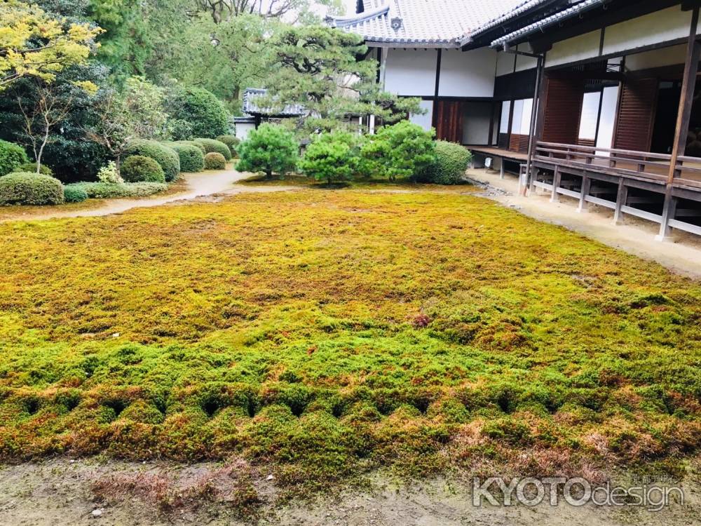 随心院　初春の苔庭