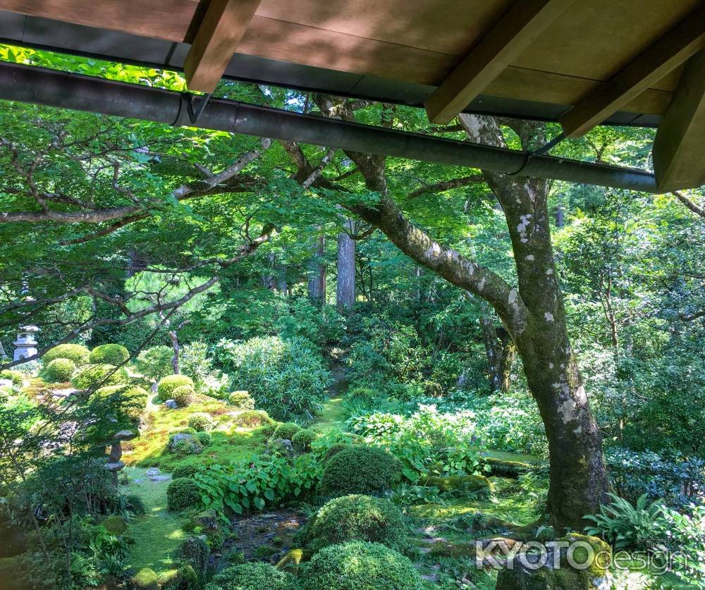 宸殿からの眺め