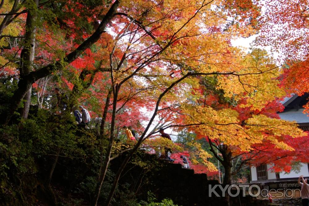 高雄　神護寺１