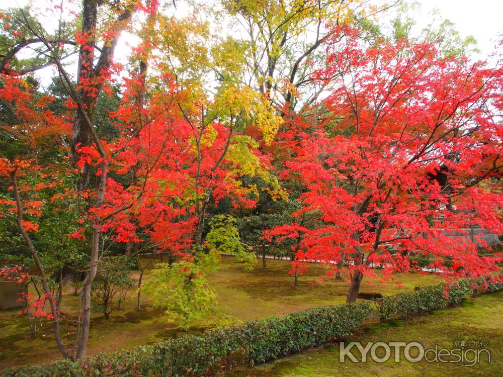 金閣寺参道④