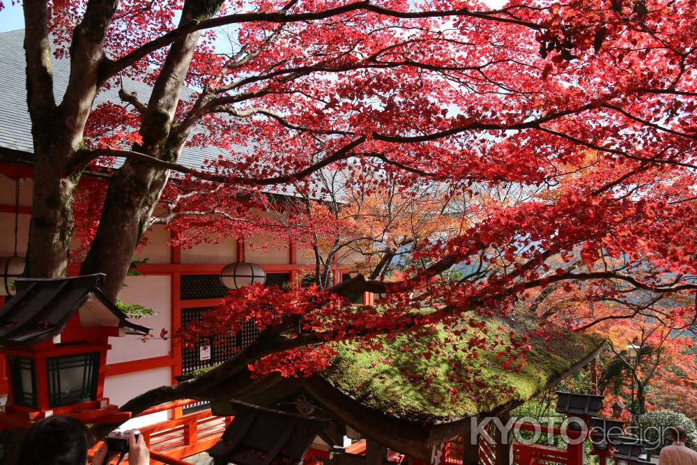 天狗の町　鞍馬へ　⑤