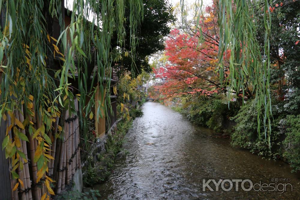 祇園・白川　④