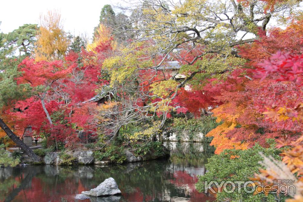 紅葉の永観堂　⑨