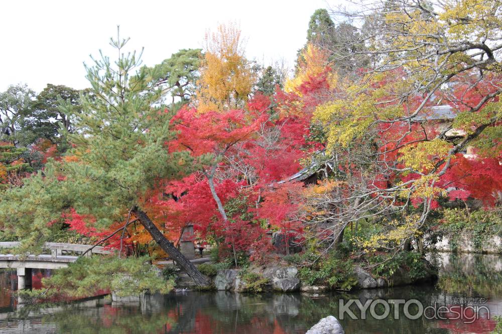 紅葉の永観堂　⑩