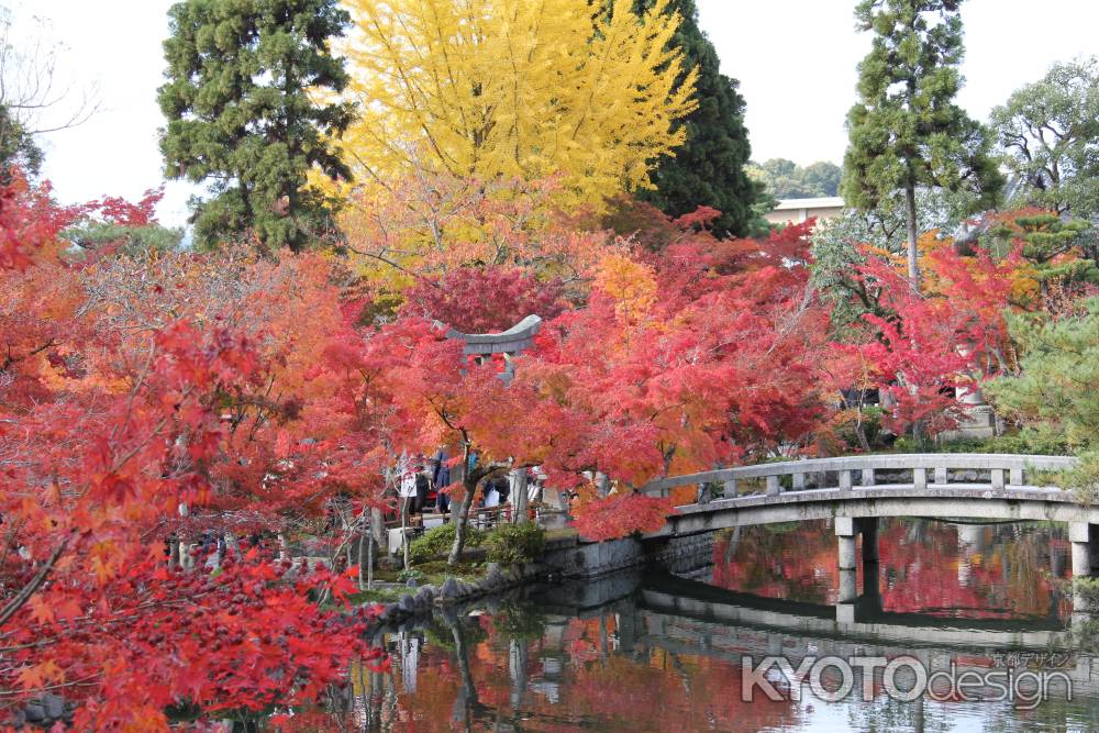 紅葉の永観堂　⑪