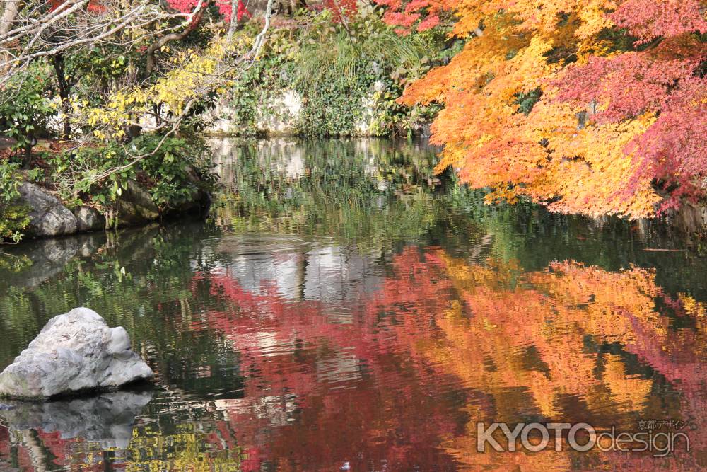 紅葉の永観堂　⑫