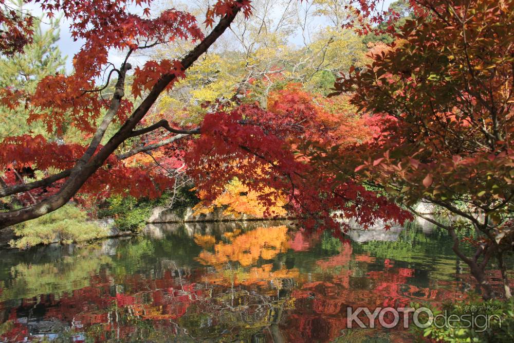 紅葉の永観堂　⑭