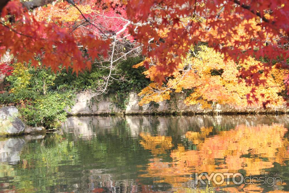 紅葉の永観堂　⑮