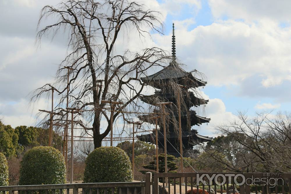 日本最古　都七福神まいりツアー⑫