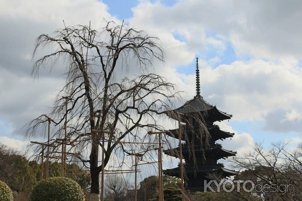 日本最古　都七福神まいりツアー⑬