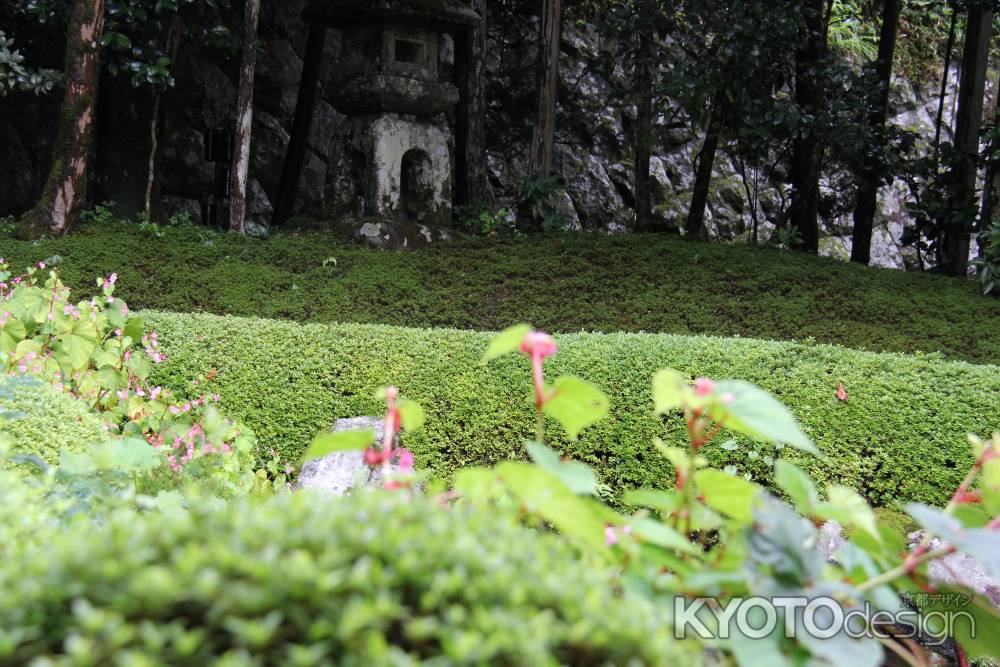 秋の寂光院境内