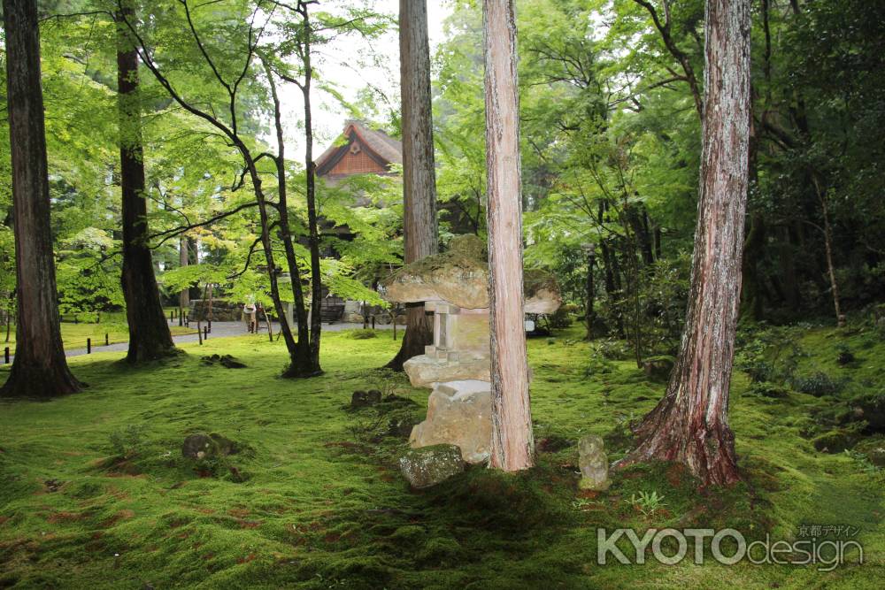 秋の大原　三千院②